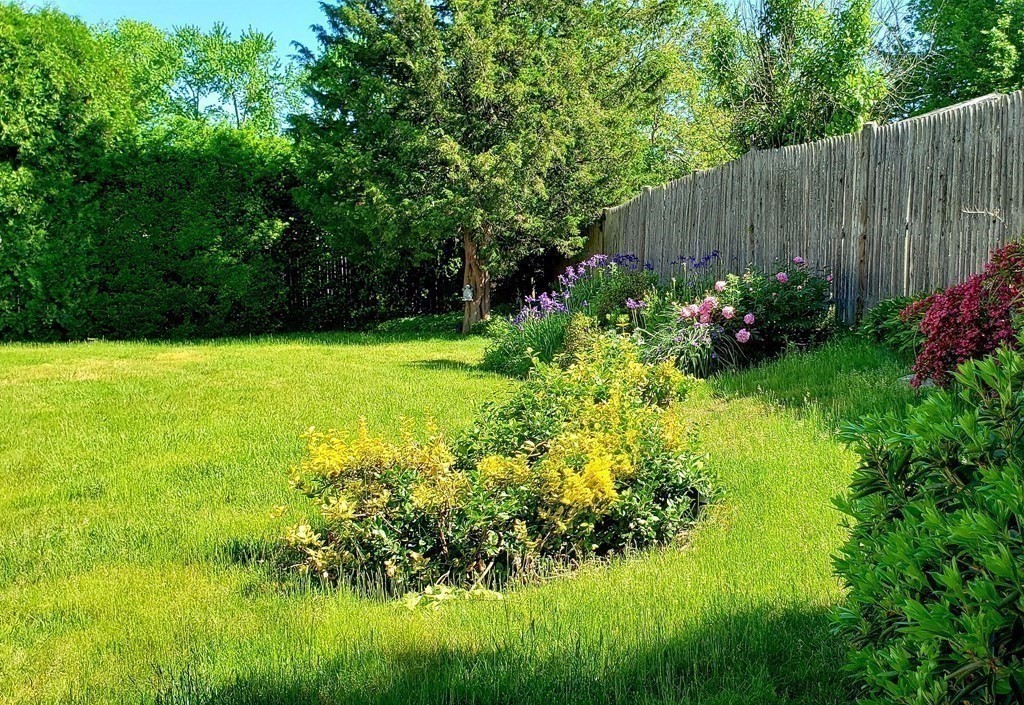 792 Ash Street Brockton, MA 02301 - Photo 10 of 42 a view of garden with plants and trees