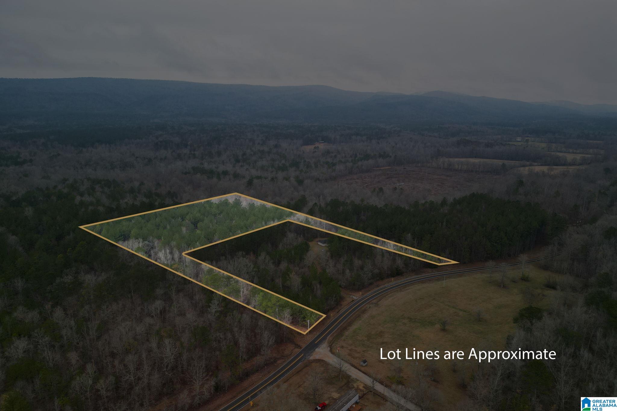 0 Highway 49 Lineville, AL 36266 - Photo 2 of 18