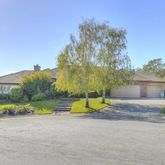 a view of backyard and tree
