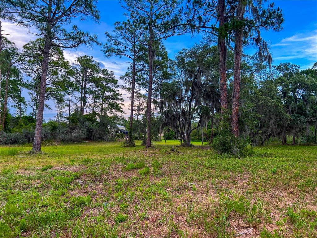 2332 Mitchell Island Road Deltona, FL 32738 - Photo 8 of 18