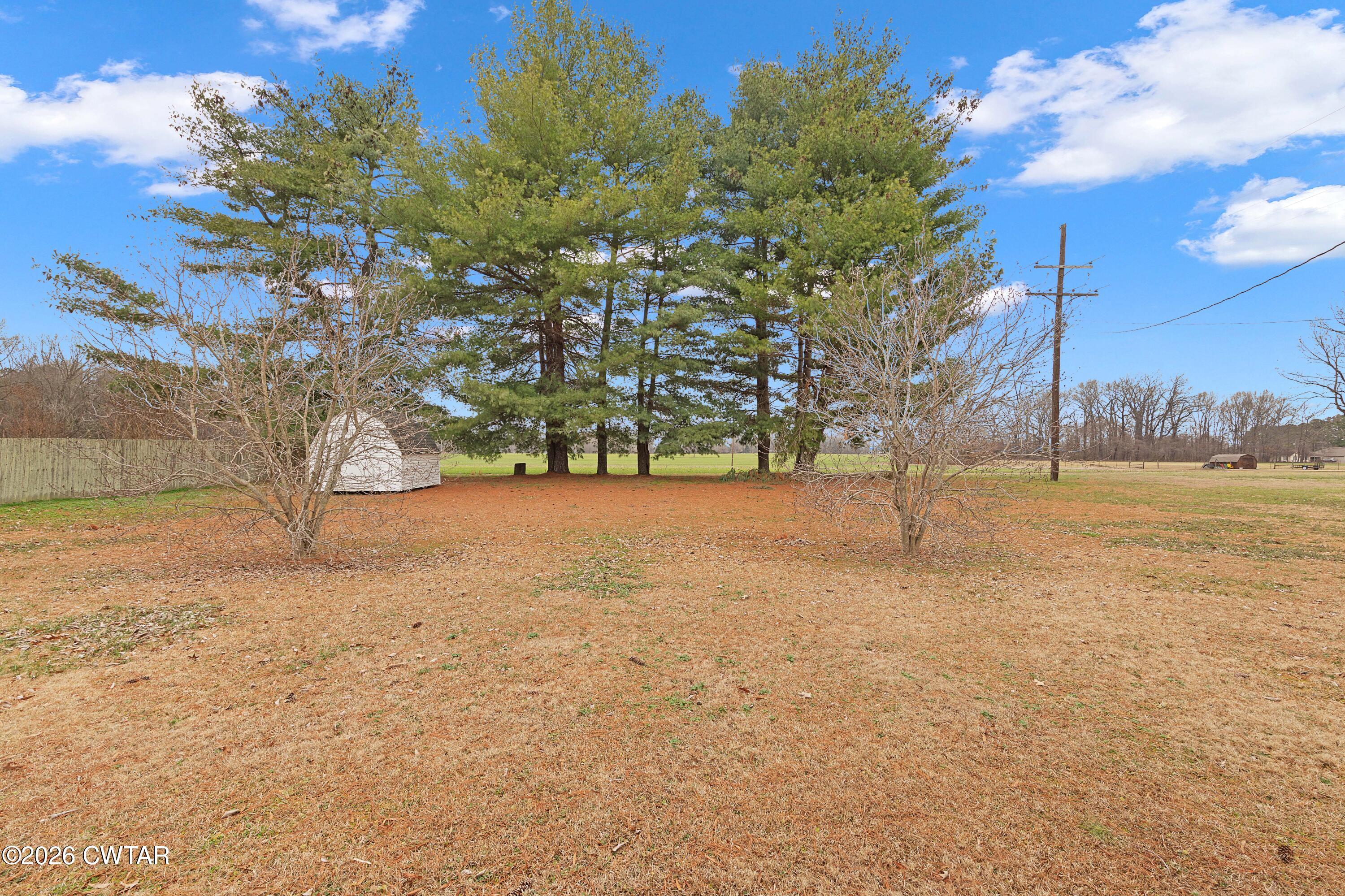 3055 Salem Street Milan, TN 38358 - Photo 36 of 40 EN4A0742