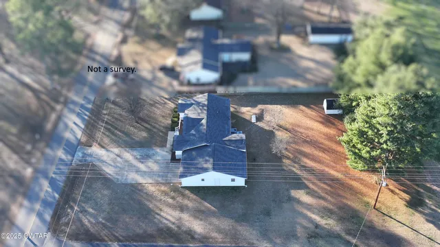 a view of a tree with a tree in front of it