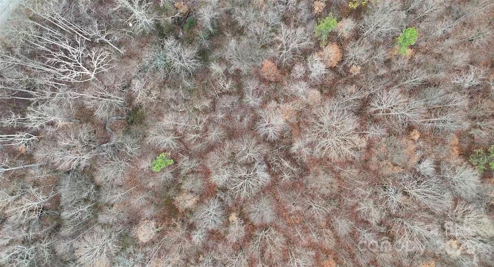 Na Whites Farm Road Statesville, NC 28625 - Photo 4 of 4