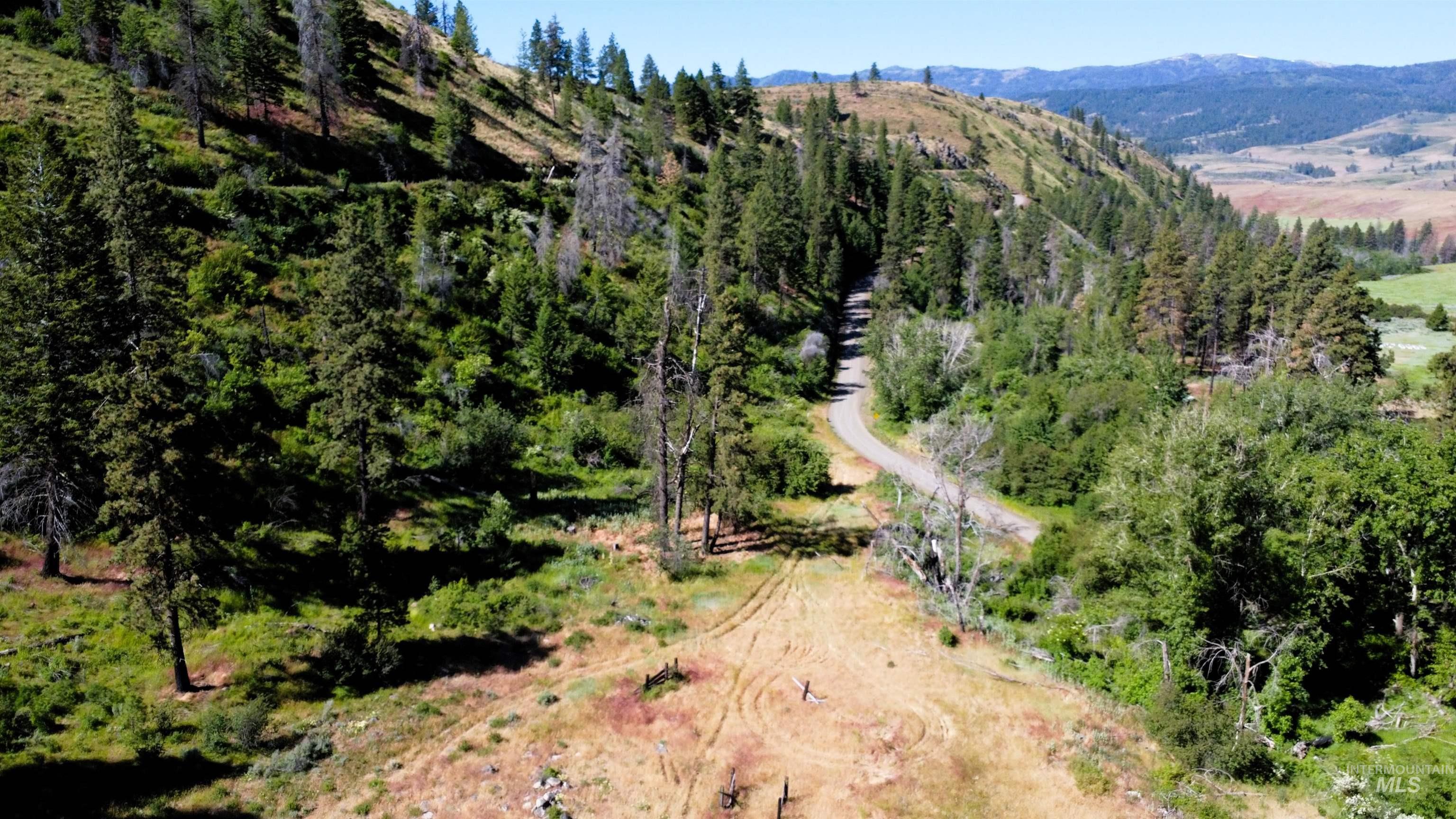 Tbd Advent Gulch Road Cambridge, ID 83610 - Photo 2 of 30