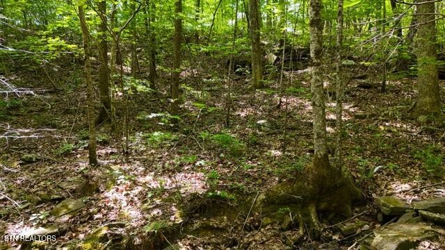 9607 Barbee Road Soddy-Daisy, TN 37379 - Photo 6 of 22