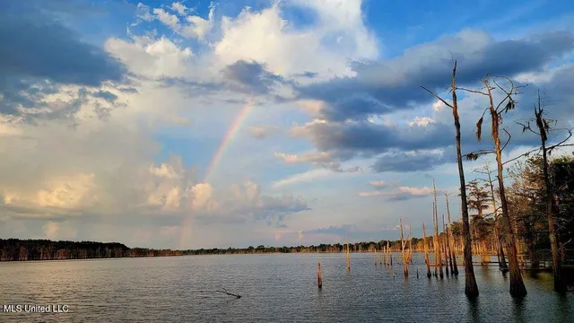 $350,000 | 0 Pecan Grove Road, Woodville, MS 39669