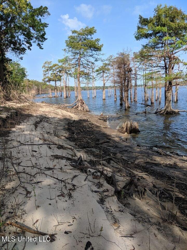0 Pecan Grove Road Woodville, MS 39669 - Photo 3 of 10 ;ecan grove 8