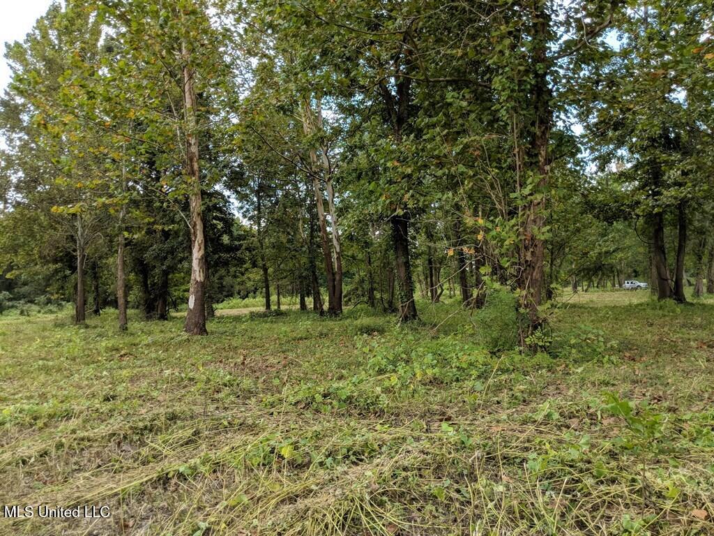 0 Pecan Grove Road Woodville, MS 39669 - Photo 5 of 10 pecan grove 6