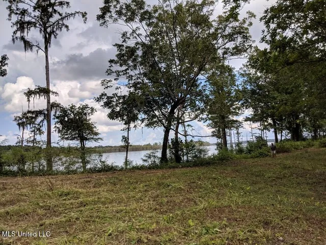 $350,000 | 0 Pecan Grove Road, Woodville, MS 39669
