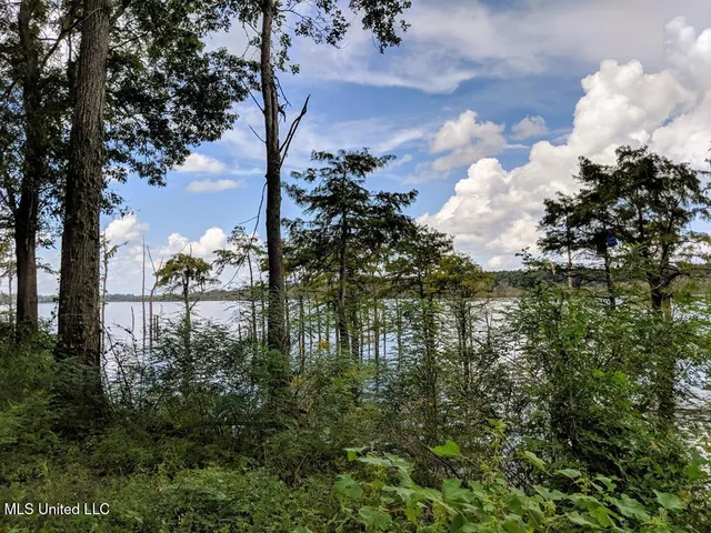 $350,000 | 0 Pecan Grove Road, Woodville, MS 39669