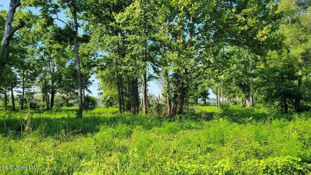 $350,000 | 0 Pecan Grove Road, Woodville, MS 39669