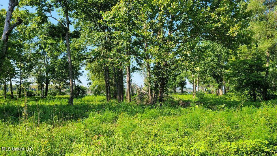 0 Pecan Grove Road Woodville, MS 39669 - Photo 10 of 10 pecan grove 1