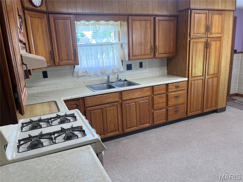 238 North Main Street Hillsboro, IL 62049 - Photo 4 of 18