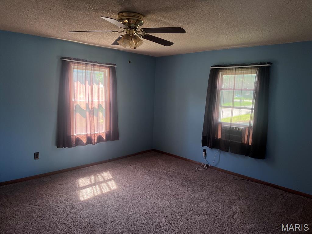 238 North Main Street Hillsboro, IL 62049 - Photo 10 of 18