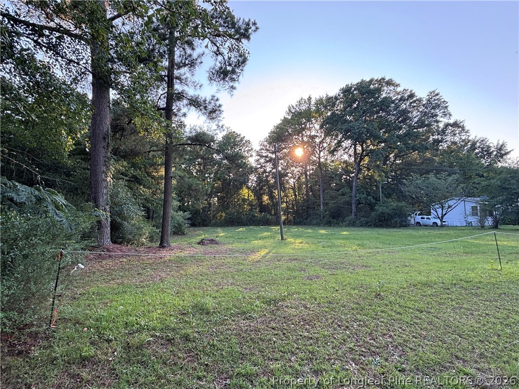 595 Shaw Road St. Pauls, NC 28384 - Photo 8 of 29