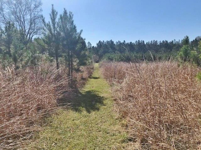 0 McClendon Road Magnolia, MS 39652 - Photo 1 of 31 Main View