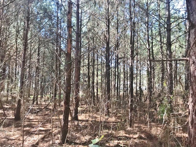 0 McClendon Road Magnolia, MS 39652 - Photo 11 of 31 Photo 11