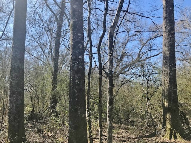 0 McClendon Road Magnolia, MS 39652 - Photo 12 of 31 Photo 12