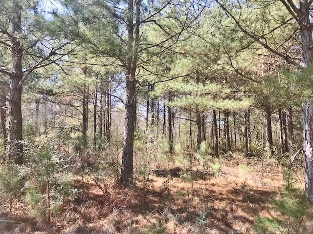 0 McClendon Road Magnolia, MS 39652 - Photo 13 of 31 Photo 13