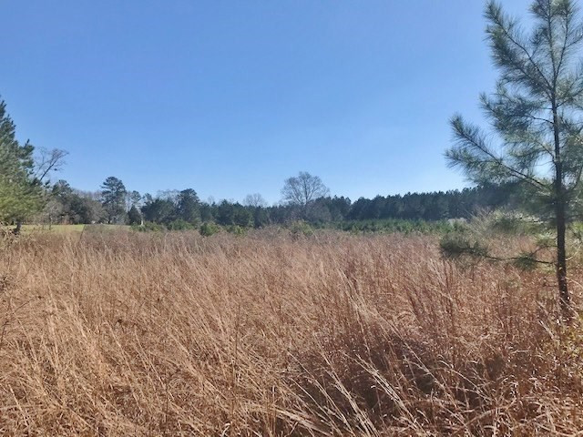 0 McClendon Road Magnolia, MS 39652 - Photo 15 of 31 Photo 15