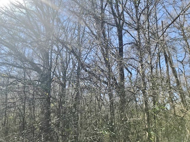 0 McClendon Road Magnolia, MS 39652 - Photo 17 of 31 Photo 17