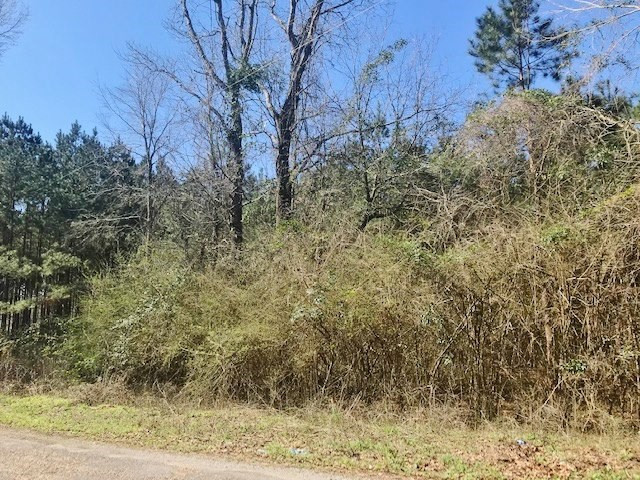 0 McClendon Road Magnolia, MS 39652 - Photo 18 of 31 Photo 18