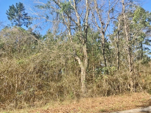 0 McClendon Road Magnolia, MS 39652 - Photo 19 of 31 Photo 19