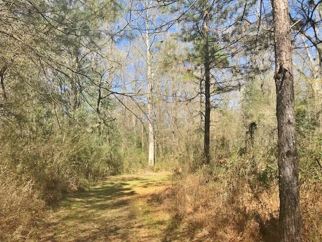 0 McClendon Road Magnolia, MS 39652 - Photo 20 of 31 Photo 20