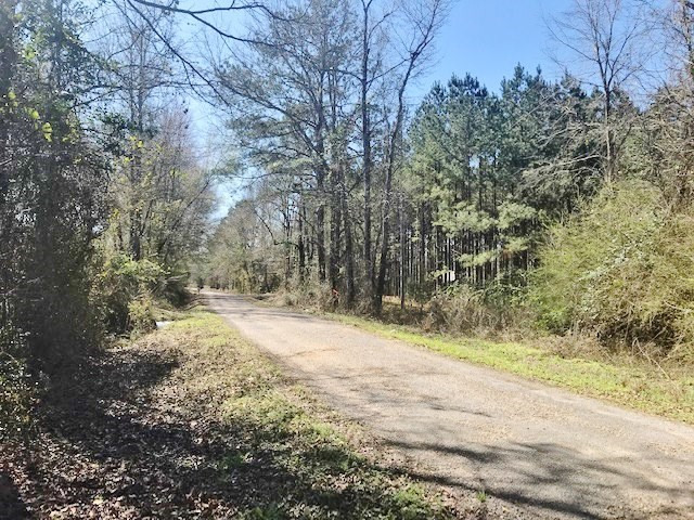 0 McClendon Road Magnolia, MS 39652 - Photo 2 of 31 Photo 2