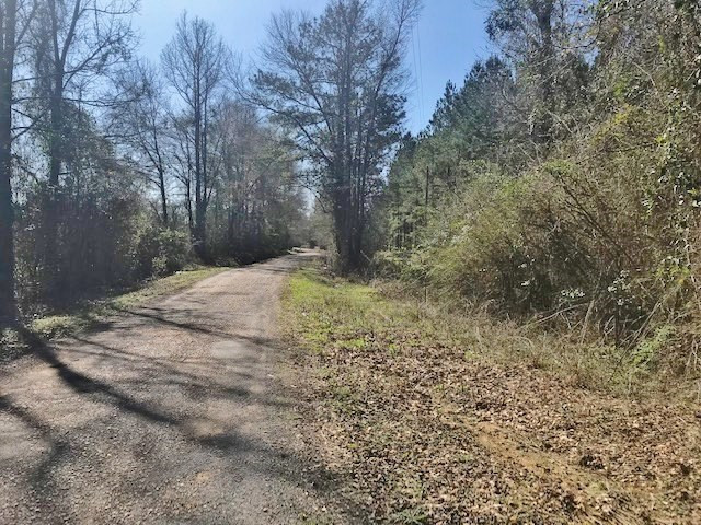 0 McClendon Road Magnolia, MS 39652 - Photo 23 of 31 Photo 23