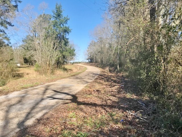 0 McClendon Road Magnolia, MS 39652 - Photo 24 of 31 Photo 24