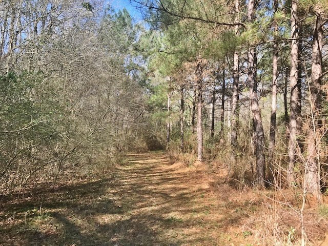 0 McClendon Road Magnolia, MS 39652 - Photo 25 of 31 Photo 25