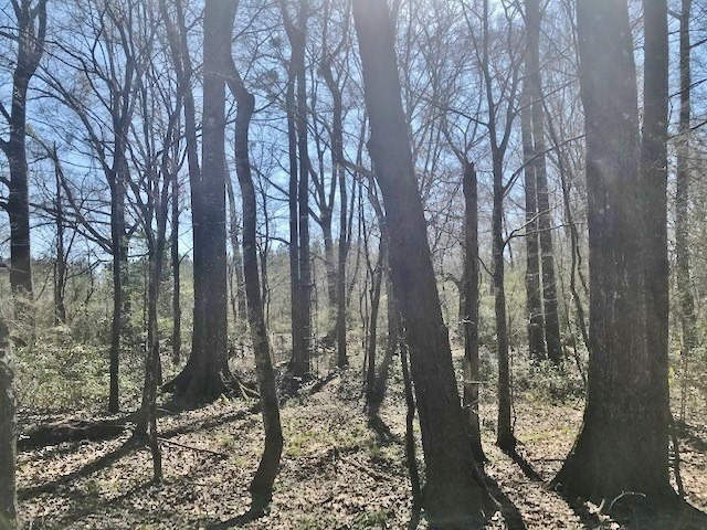 0 McClendon Road Magnolia, MS 39652 - Photo 26 of 31 Photo 26