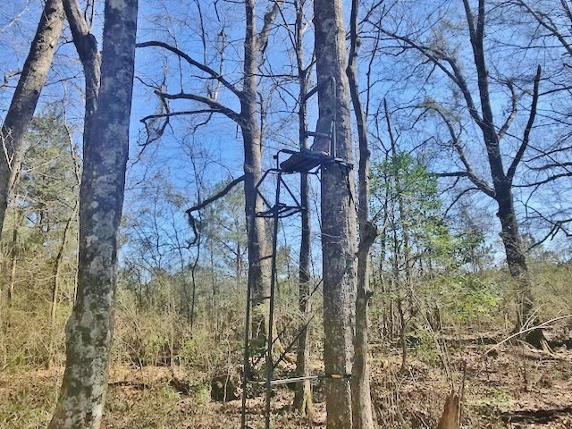 0 McClendon Road Magnolia, MS 39652 - Photo 27 of 31 Photo 27