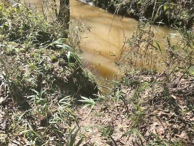 0 McClendon Road Magnolia, MS 39652 - Photo 28 of 31 Photo 28