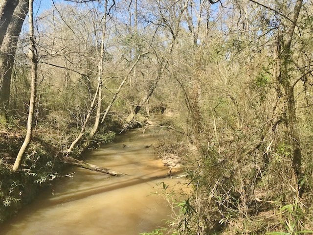 0 McClendon Road Magnolia, MS 39652 - Photo 29 of 31 Photo 29