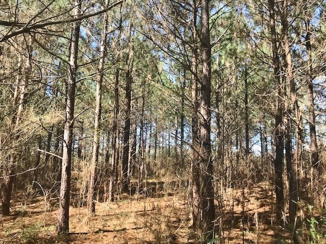 0 McClendon Road Magnolia, MS 39652 - Photo 3 of 31 Photo 3