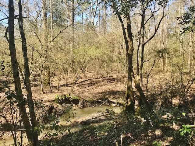 0 McClendon Road Magnolia, MS 39652 - Photo 31 of 31 Photo 31