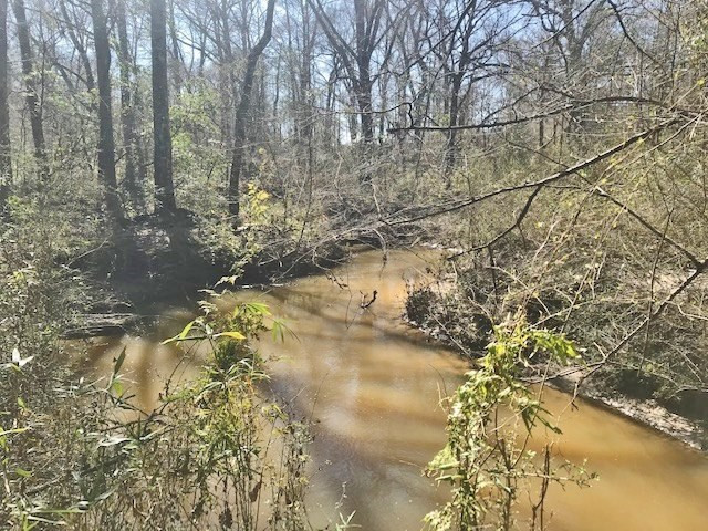 0 McClendon Road Magnolia, MS 39652 - Photo 7 of 31 Photo 7