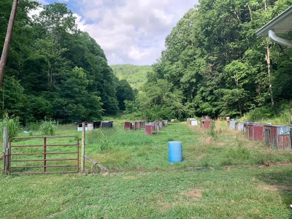 184 Grassy Spur Road Bandy, VA 24602 - Photo 10 of 11 Gallery Image 10