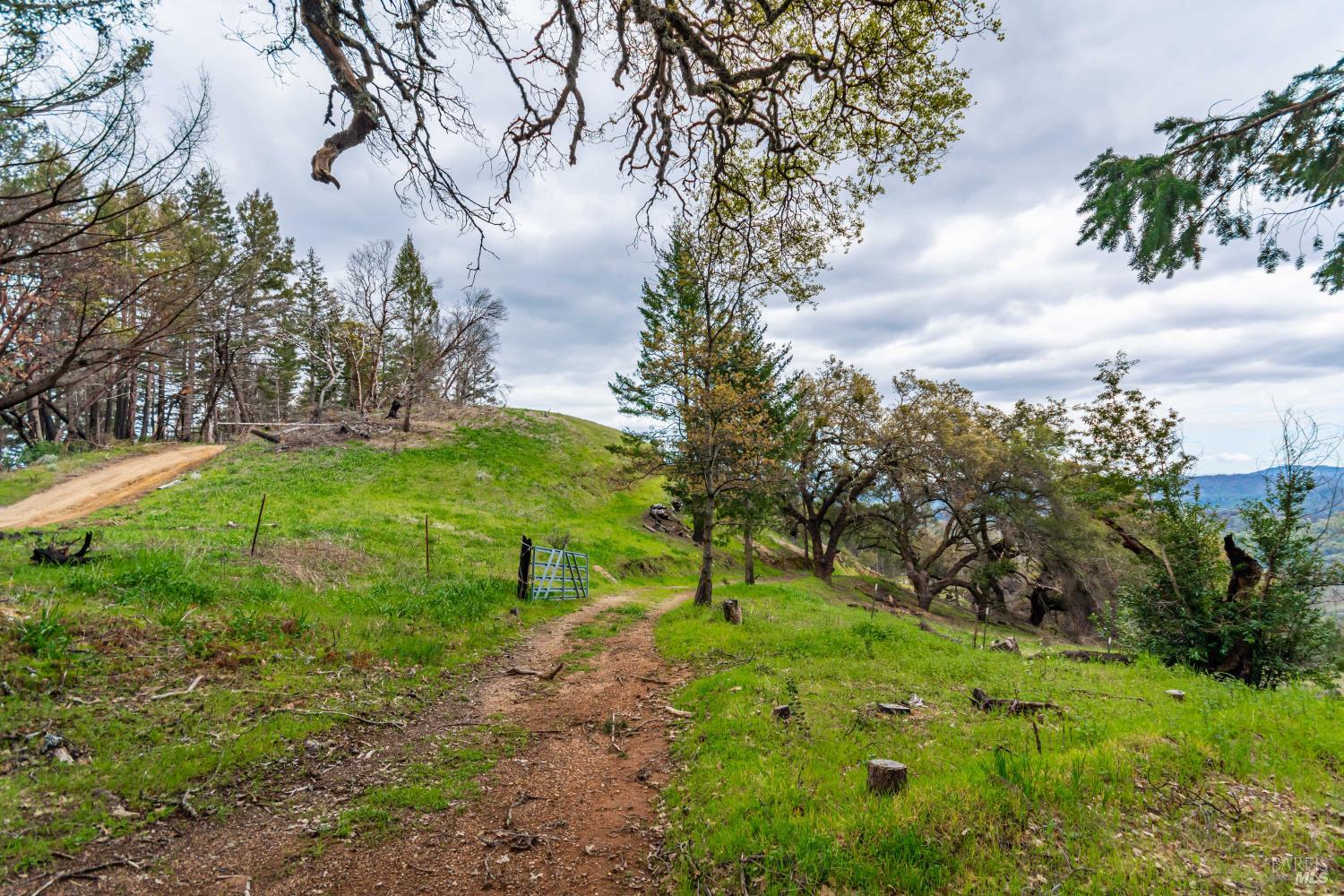 1401 Big Ridge Road Healdsburg, CA 95448 - Photo 73 of 86