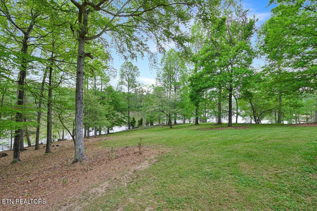 350 Dogwood Cove Road Spring City, TN 37381 - Photo 45 of 52 Gallery Image 45