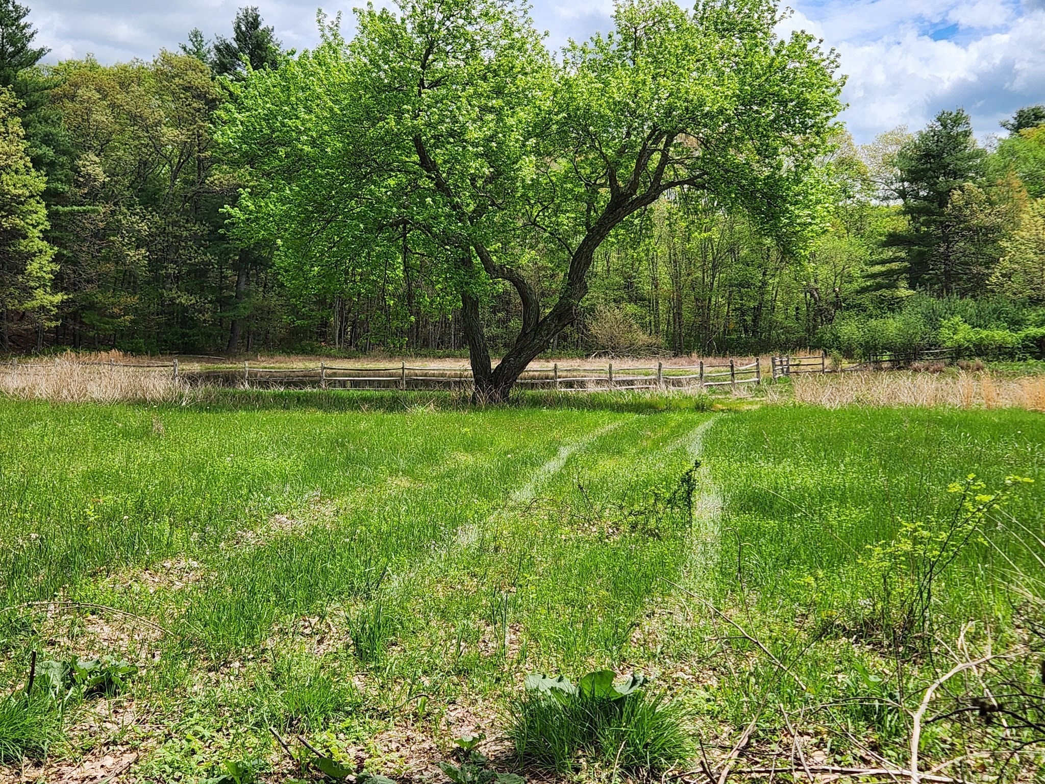 65 Farm Road Sherborn, MA 01770 - Photo 1 of 14 Gallery Image 1