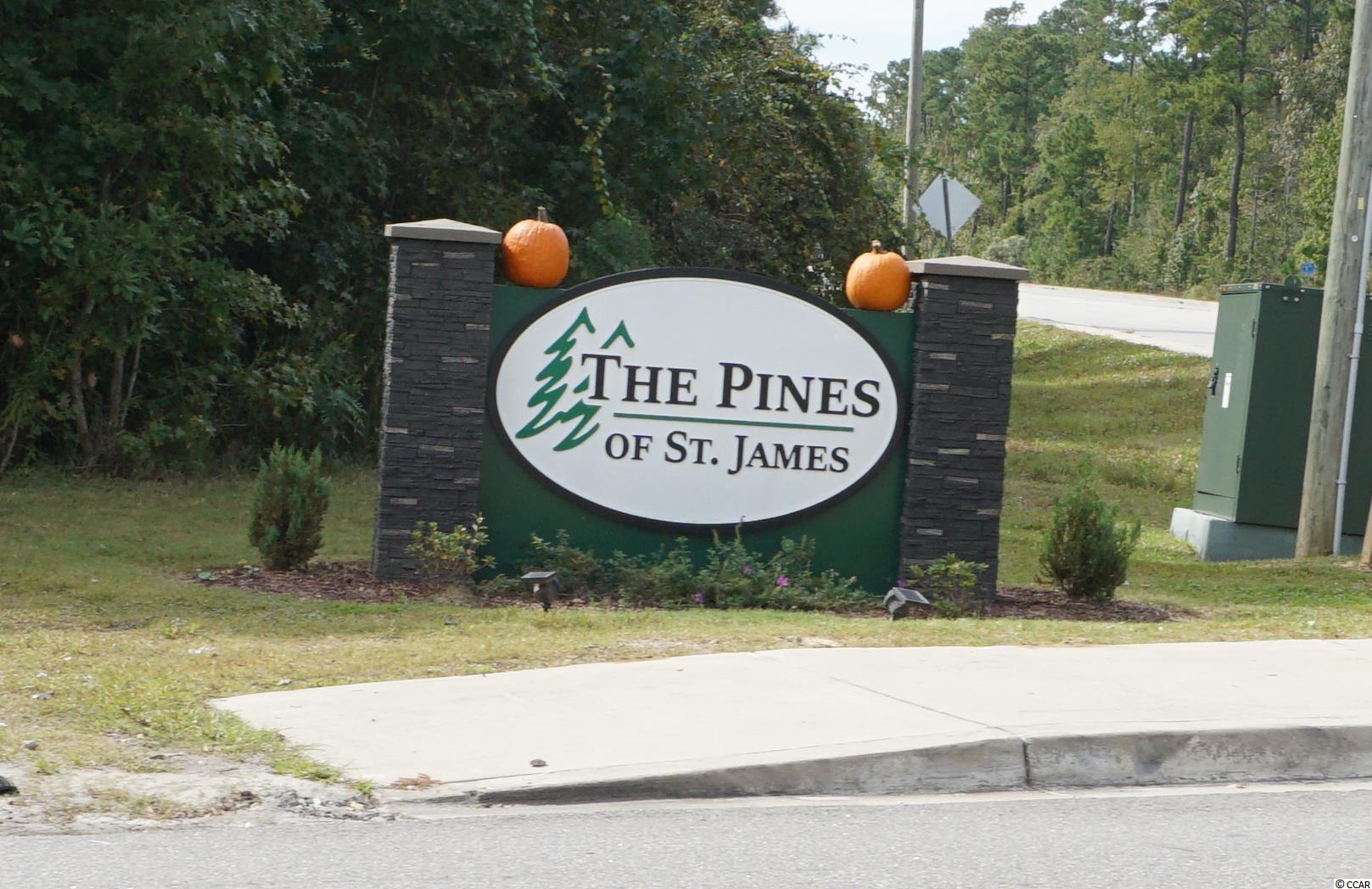 8045 Box Court Murrells Inlet, SC 29576 - Photo 2 of 26 Gallery Image 2