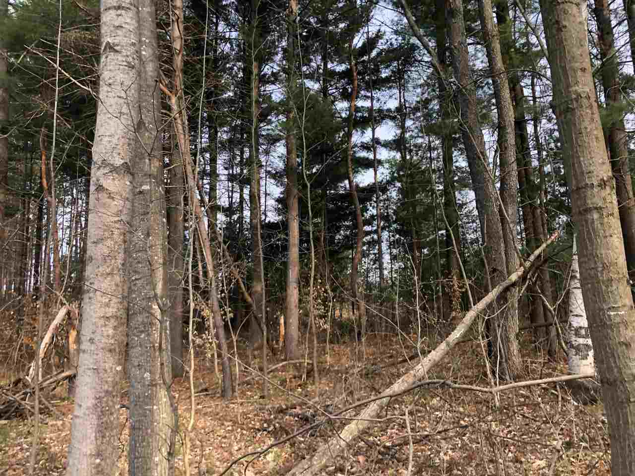 40-acres East Cranberry Lake Road Harrison, MI 48625 - Photo 20 of 21