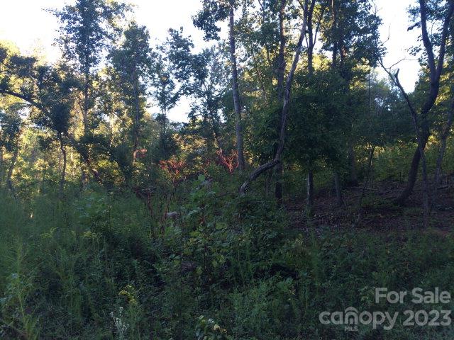 0 Rainey Road, Unit NULL Salisbury, NC 28146 - Photo 3 of 7 a view of forest