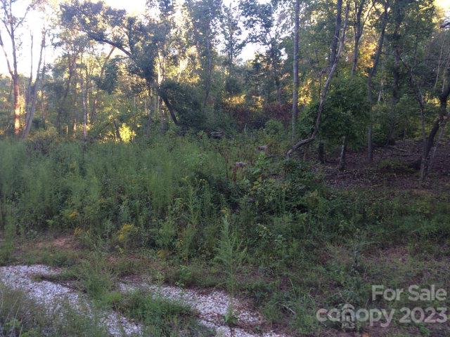 0 Rainey Road, Unit NULL Salisbury, NC 28146 - Photo 6 of 7 a view of a forest with trees in the background
