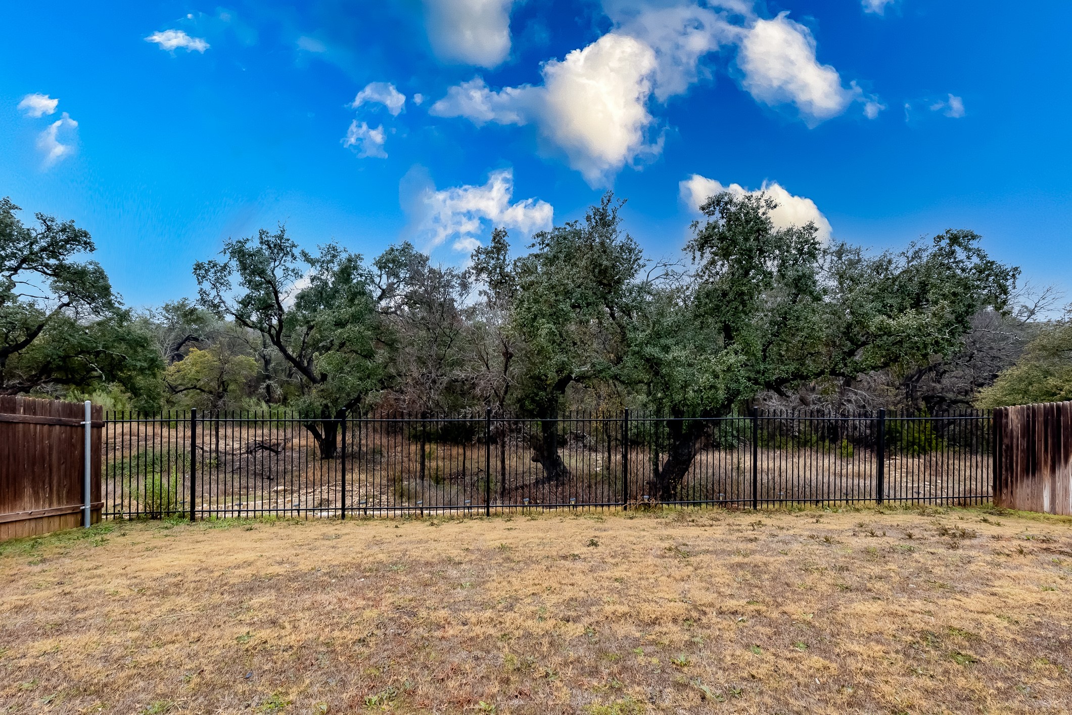 312 Empress Tree Drive Leander, TX 78641 - Photo 29 of 35 a backyard of a house with lots of green space and tree