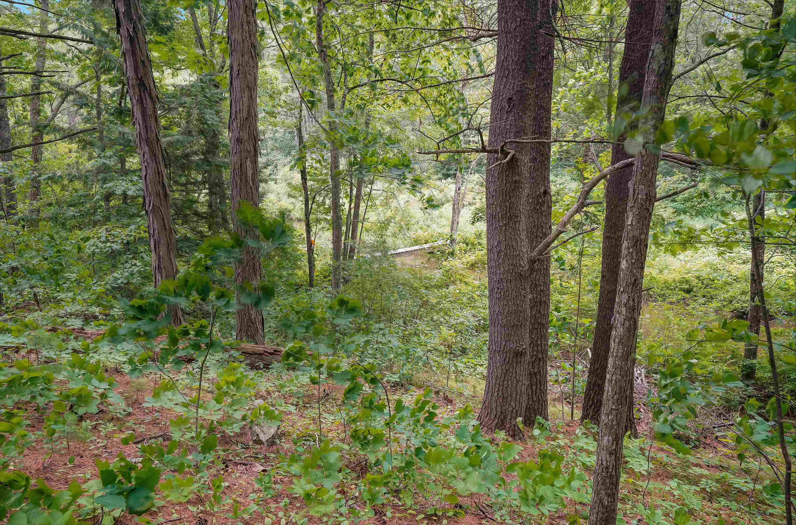 221 Piscassic Road Newfields, NH 03856 - Photo 50 of 59