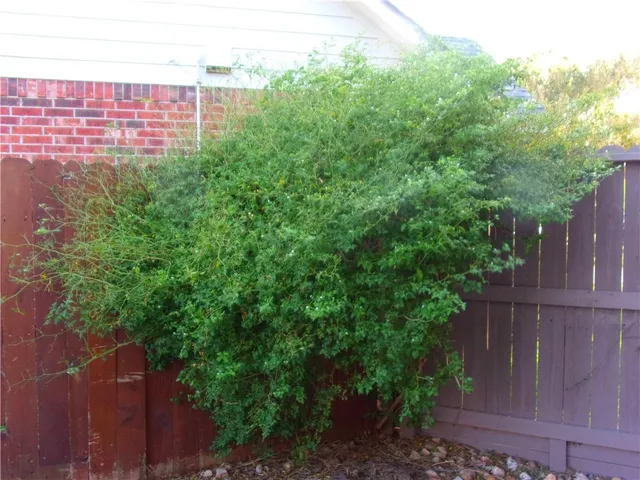 a bedroom with bed and window